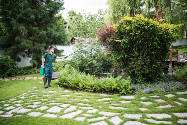 Professional Pest Control in Montgomery, MN