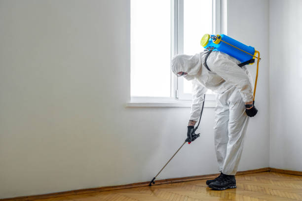 Best Bed Bug Extermination  in Montgomery, MN