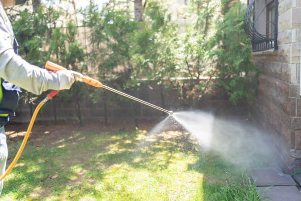 Best Exterminator Services  in Montgomery, MN