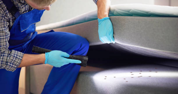 Flea Control Services in Montgomery, MN