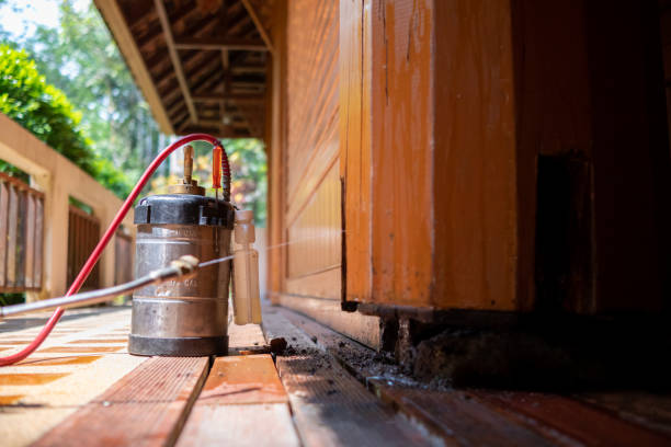 Best Best Pest Control Companies  in Montgomery, MN