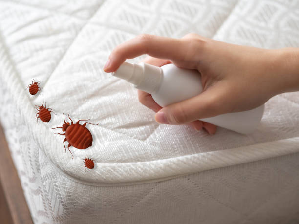 Best Residential Pest Control  in Montgomery, MN